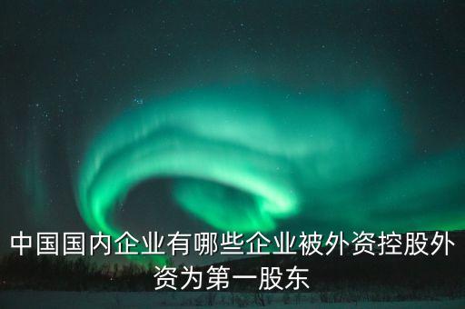 中國(guó)國(guó)內(nèi)企業(yè)有哪些企業(yè)被外資控股外資為第一股東