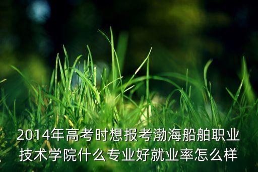 2014年高考時想報考渤海船舶職業(yè)技術(shù)學(xué)院什么專業(yè)好就業(yè)率怎么樣