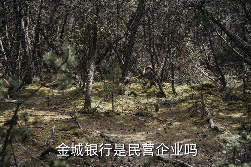  金城銀行是民營企業(yè)嗎