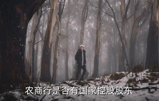 農(nóng)商行是否有國(guó)家控股股東