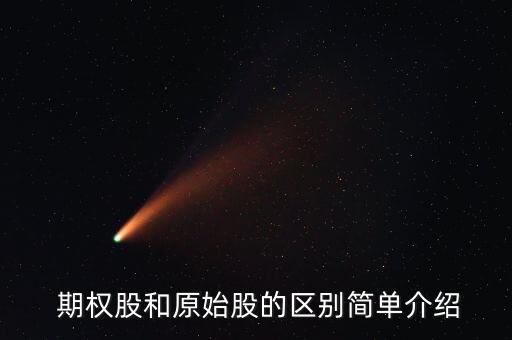  期權股和原始股的區(qū)別簡單介紹