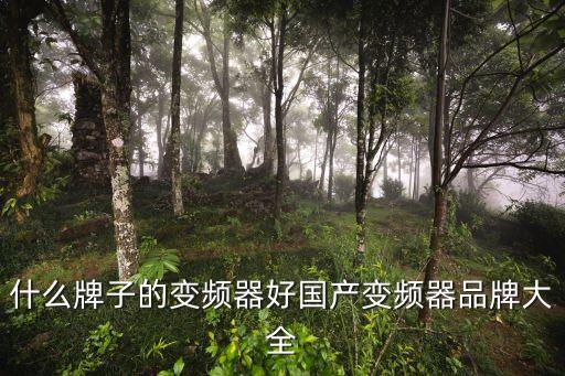 中國自動化集團(tuán)有限公司