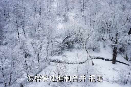 怎樣快速編制合并 報表