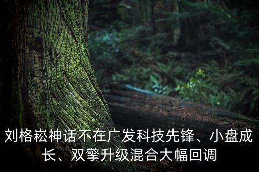 劉格崧神話不在廣發(fā)科技先鋒、小盤成長(zhǎng)、雙擎升級(jí)混合大幅回調(diào)