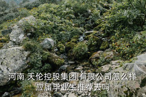 河南 天倫控股集團 有限公司怎么樣應屆畢業(yè)生推薦去嗎