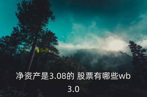 凈資產(chǎn)是3.08的 股票有哪些wb3.0