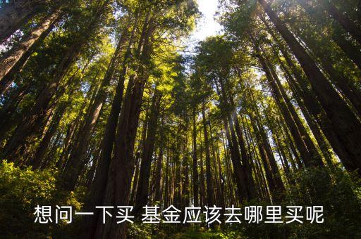 想問(wèn)一下買 基金應(yīng)該去哪里買呢
