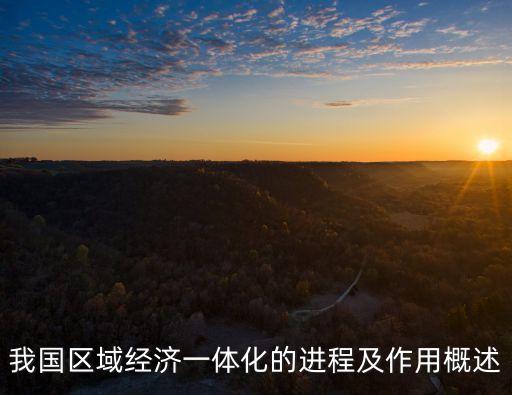 我國區(qū)域經(jīng)濟一體化的進程及作用概述