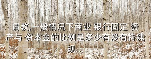 請(qǐng)教,一般情況下商業(yè) 銀行固定 資產(chǎn)與 資本金的比例是多少有沒有特殊規(guī)...