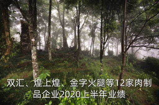 雙匯、煌上煌、金字火腿等12家肉制品企業(yè)2020上半年業(yè)績(jī)