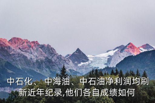 中石化、 中海油、中石油凈利潤均刷新近年紀(jì)錄,他們各自成績?nèi)绾? class=