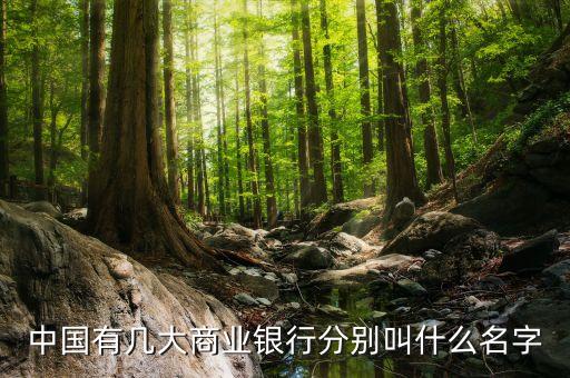 中國有幾大商業(yè)銀行分別叫什么名字