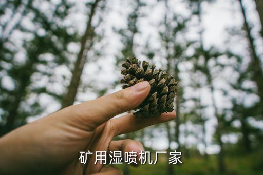礦用濕噴機(jī)廠家