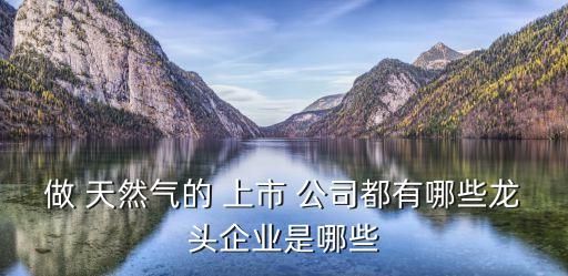 天然氣發(fā)電設備上市公司,垃圾焚燒發(fā)電設備上市公司