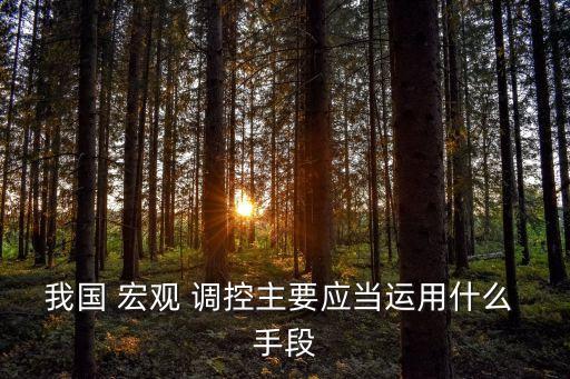 我國 宏觀 調(diào)控主要應當運用什么 手段