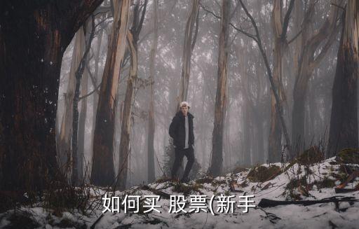 股票分析師百度云盤(pán),股票書(shū)籍pdf百度云盤(pán)