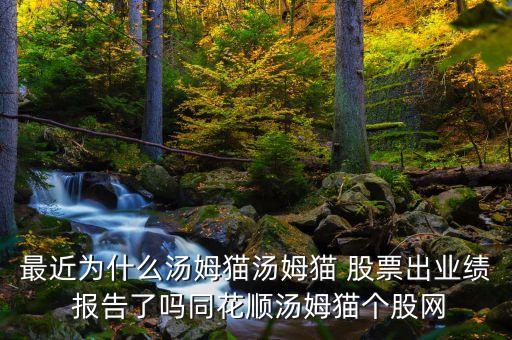 最近為什么湯姆貓湯姆貓 股票出業(yè)績 報(bào)告了嗎同花順湯姆貓個(gè)股網(wǎng)
