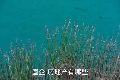 成發(fā)集團房地產(chǎn)開發(fā)公司,順天通房地產(chǎn)開發(fā)集團