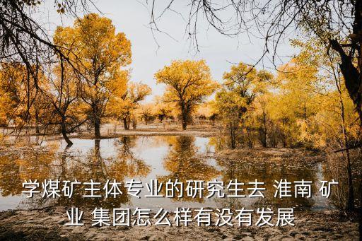 2014淮南礦業(yè)集團虧損