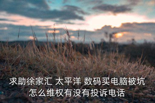 求助徐家匯 太平洋 數(shù)碼買電腦被坑怎么維權(quán)有沒有投訴電話