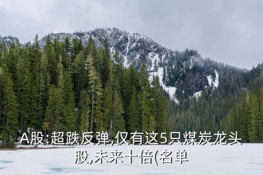 A股:超跌反彈,僅有這5只煤炭龍頭股,未來(lái)十倍(名單
