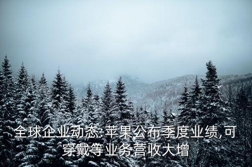 全球企業(yè)動(dòng)態(tài):蘋果公布季度業(yè)績,可穿戴等業(yè)務(wù)營收大增