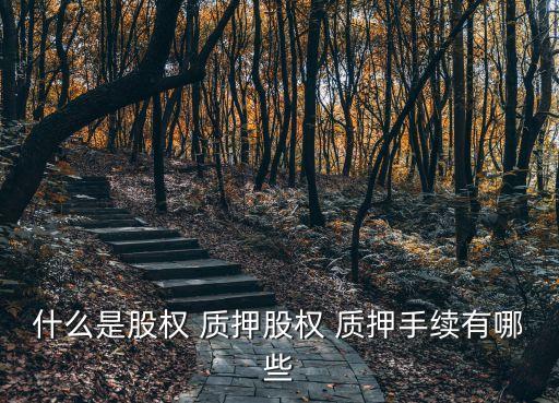 什么是股權(quán) 質(zhì)押股權(quán) 質(zhì)押手續(xù)有哪些
