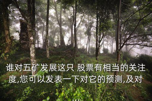 誰(shuí)對(duì)五礦發(fā)展這只 股票有相當(dāng)?shù)年P(guān)注度,您可以發(fā)表一下對(duì)它的預(yù)測(cè),及對(duì)...