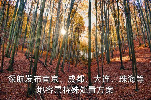  深航發(fā)布南京、成都、大連、珠海等地客票特殊處置方案