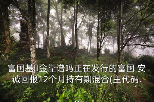 富國基?金靠譜嗎正在發(fā)行的富國 安誠回報(bào)12個(gè)月持有期混合(主代碼...