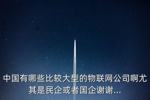 中國(guó)有哪些比較大型的物聯(lián)網(wǎng)公司啊尤其是民企或者國(guó)企謝謝...