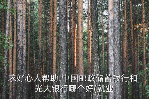 光大銀行的發(fā)展前景,中國(guó)光大銀行的發(fā)展前景