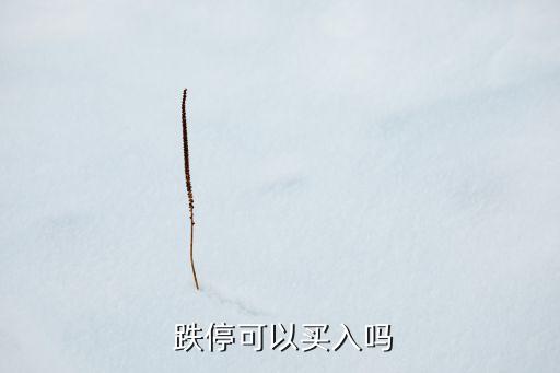  跌?？梢再I入嗎