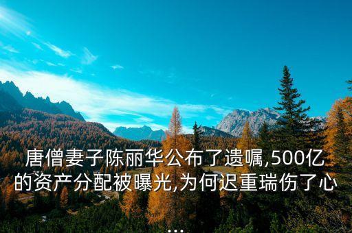 中國(guó)富豪遺產(chǎn),四合院富豪遺產(chǎn)開始
