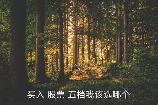 買(mǎi)入 股票 五檔我該選哪個(gè)