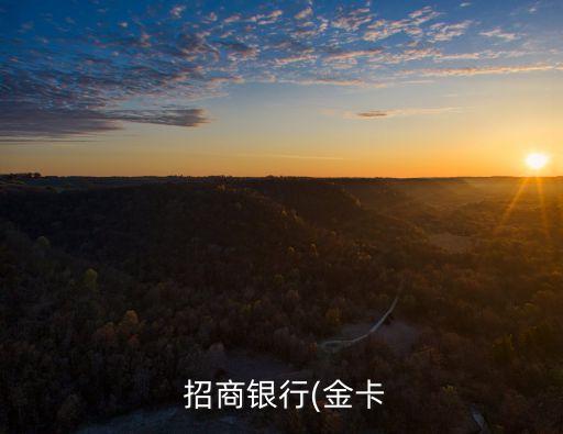 招商銀行國(guó)際借記卡,目前國(guó)內(nèi)辦不了visa借記卡嗎