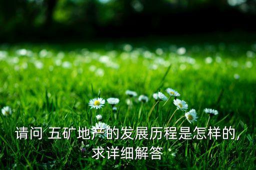 請(qǐng)問(wèn) 五礦地產(chǎn)的發(fā)展歷程是怎樣的,求詳細(xì)解答