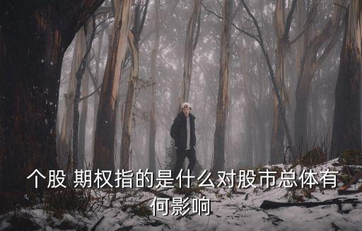  個(gè)股 期權(quán)指的是什么對股市總體有何影響
