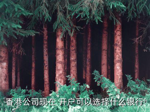 香港公司現(xiàn)在 開(kāi)戶可以選擇什么銀行