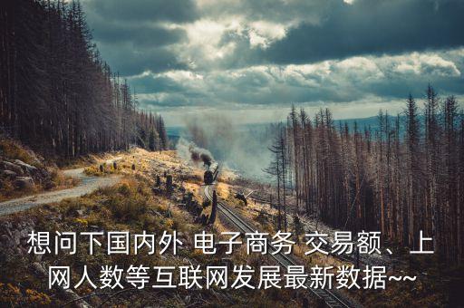 想問下國內(nèi)外 電子商務(wù) 交易額、上網(wǎng)人數(shù)等互聯(lián)網(wǎng)發(fā)展最新數(shù)據(jù)~~