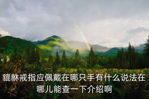貔貅戒指應佩戴在哪只手有什么說法在哪兒能查一下介紹啊