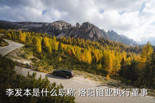 李發(fā)本是什么職稱 洛陽(yáng)鉬業(yè)執(zhí)行董事