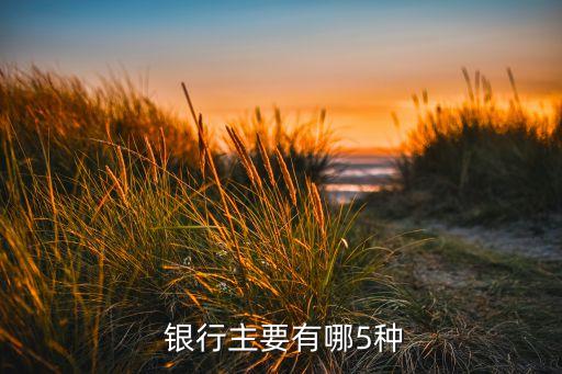 投資銀行類型,簡(jiǎn)述國際國內(nèi)投資銀行的類型