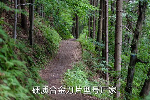 安徽國(guó)風(fēng)非金屬材料有限公司,安徽華陽非金屬材料有限公司