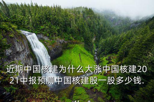 核電建設(shè)投資,中國核電建設(shè)集團山東分公司