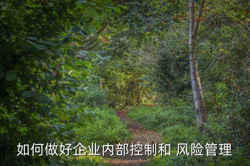 tcl集團負債經(jīng)營與財務風險,企業(yè)負債經(jīng)營是否一定會產(chǎn)生財務風險