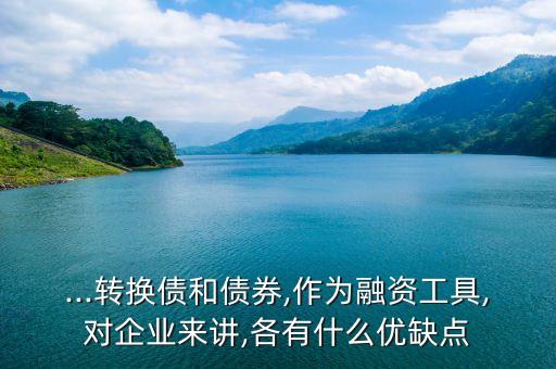 ...轉(zhuǎn)換債和債券,作為融資工具,對企業(yè)來講,各有什么優(yōu)缺點