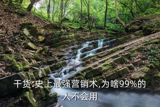 干貨:史上最強(qiáng)營銷術(shù),為啥99%的人不會用