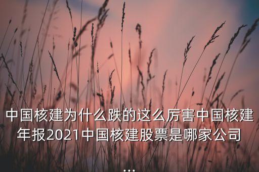 中國核建為什么跌的這么厲害中國核建年報2021中國核建股票是哪家公司...