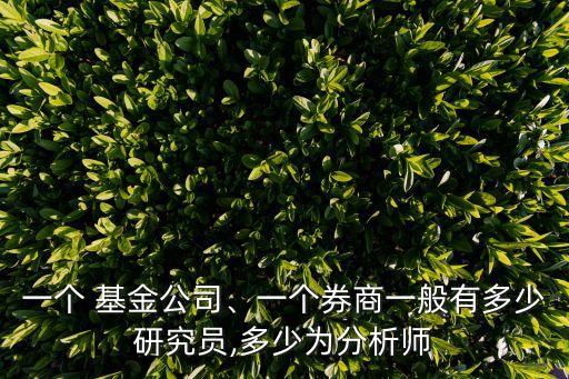 一個 基金公司、一個券商一般有多少研究員,多少為分析師